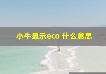 小牛显示eco 什么意思